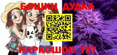 тгк Заводоуковск